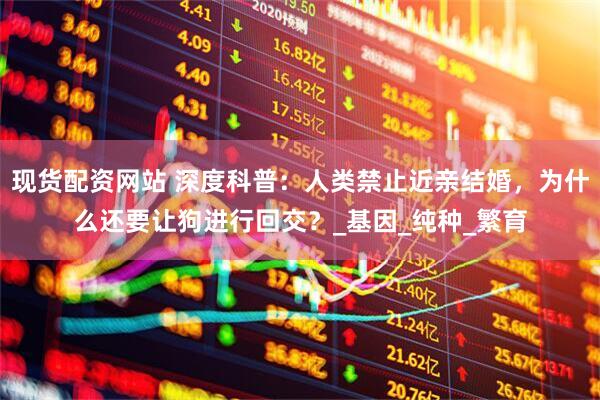 现货配资网站 深度科普：人类禁止近亲结婚，为什么还要让狗进行回交？_基因_纯种_繁育
